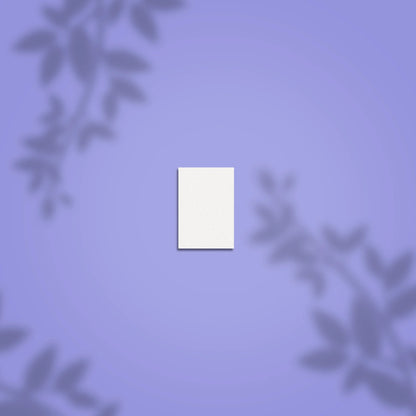 Lima pulidora rectangular mini STALEKS PRO 100/180 grano, kit de 50 piezas