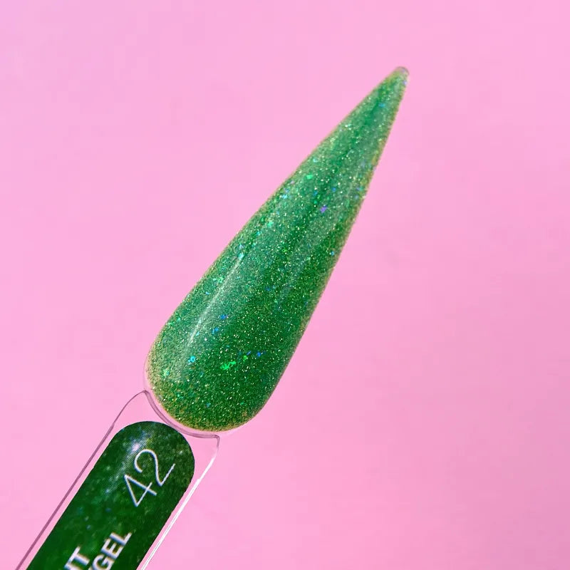 LUNAmoon Light Acrygel Nº 42 13ml